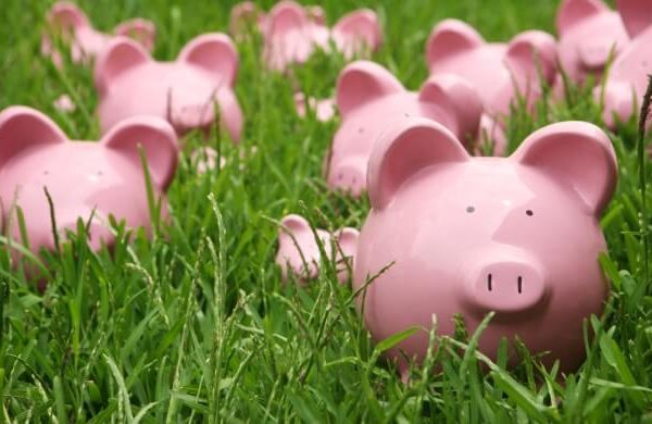Piggy banks in a field